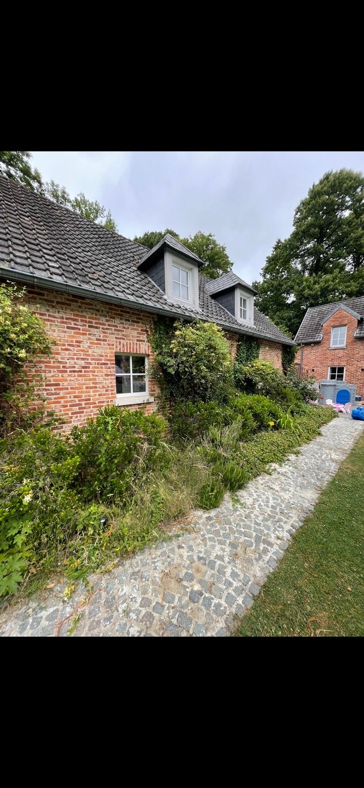 Jardin avant une remise en état complète, Brabant wallon